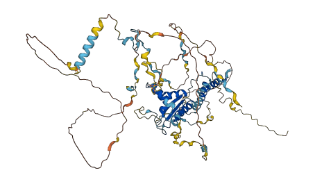 SF1 3D structure