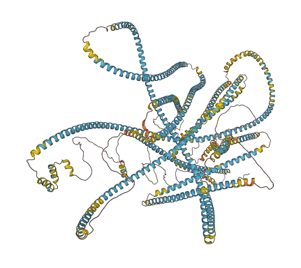 TRIP11 3D structure