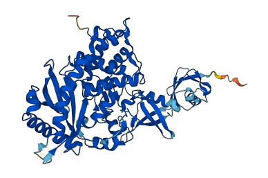 OASL 3D structure