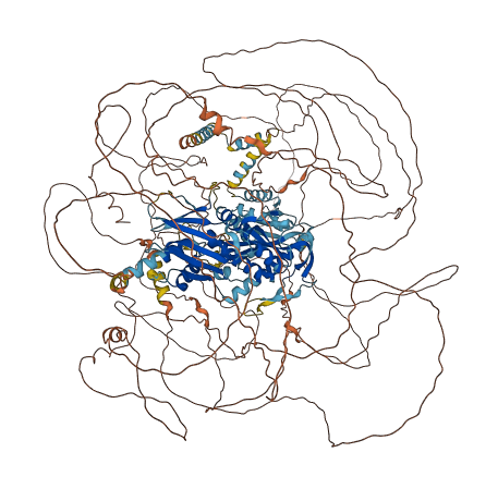MED1 3D structure