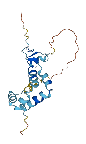 ZNHIT3 3D structure