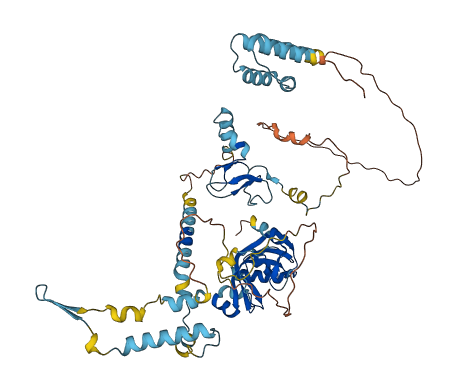 TRIP4 3D structure