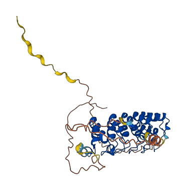 NFKBIB 3D structure