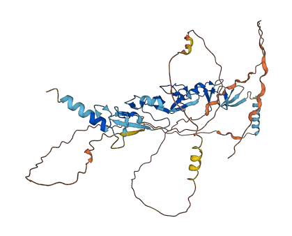 TRIP6 3D structure
