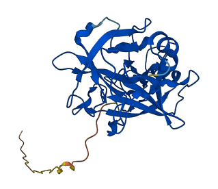 TPSAB1 3D structure
