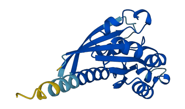 RHOH 3D structure