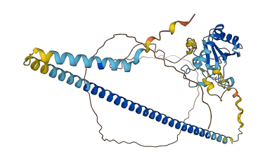 ZRSR2 3D structure