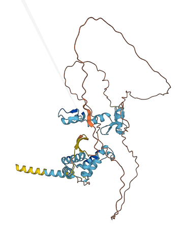 ZNF174 3D structure