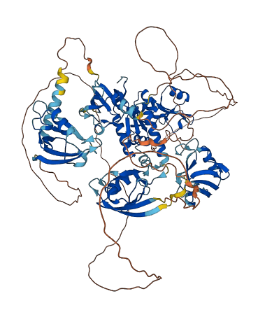 DLG2 3D structure