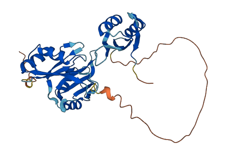 ELAVL1 3D structure