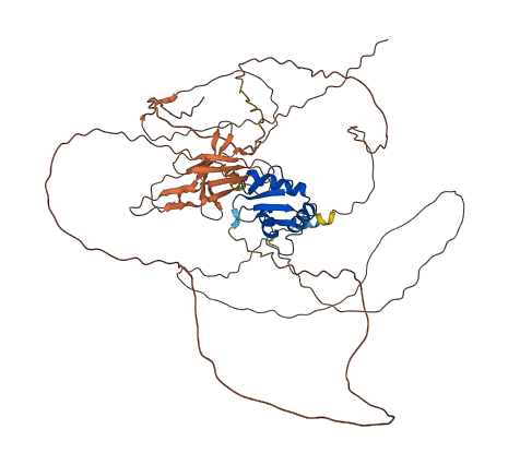 ELF2 3D structure