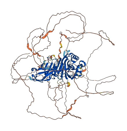 INPP5J 3D structure