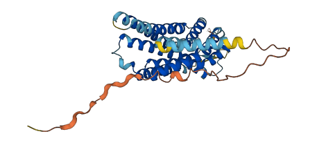 GPR68 3D structure