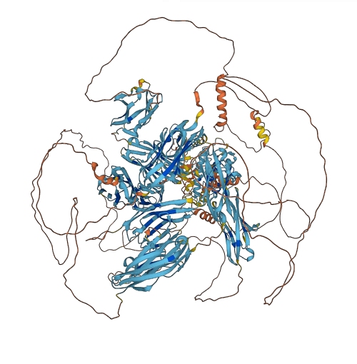 MYLK 3D structure
