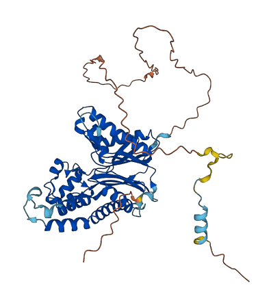 TAB1 3D structure