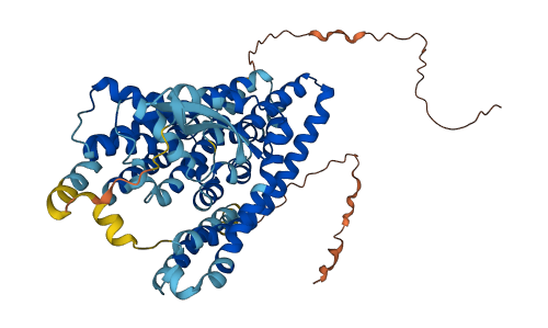 SLC1A5 3D structure