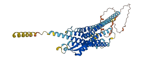 NPY5R 3D structure