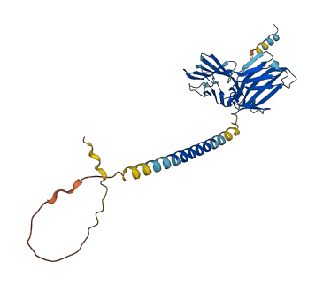 CD226 3D structure