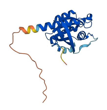 RAB30 3D structure