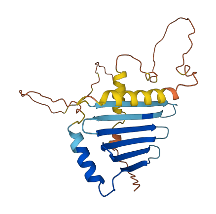 MLF2 3D structure