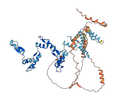ZKSCAN8 3D structure