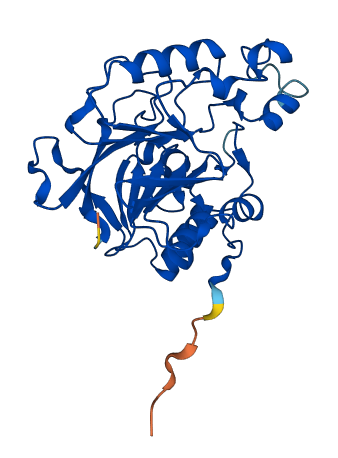 MPPED2 3D structure
