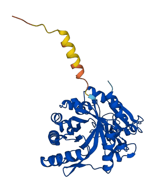 CHI3L2 3D structure