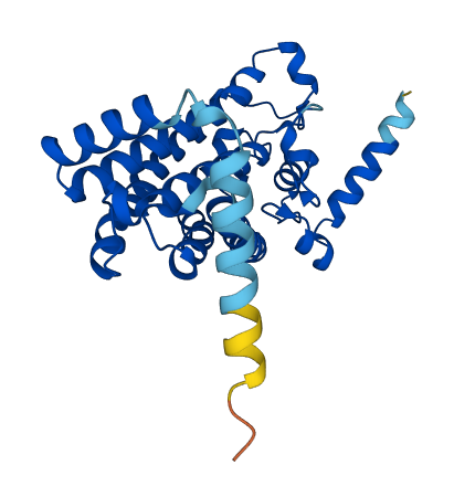 MSMO1 3D structure