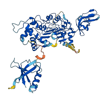 TBCE 3D structure