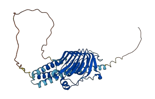TBCC 3D structure