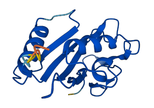 UBE2V2 3D structure