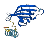 CST6 3D structure