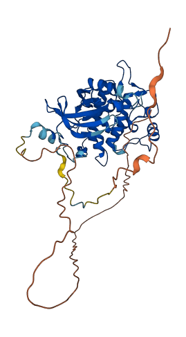 STK11 3D structure