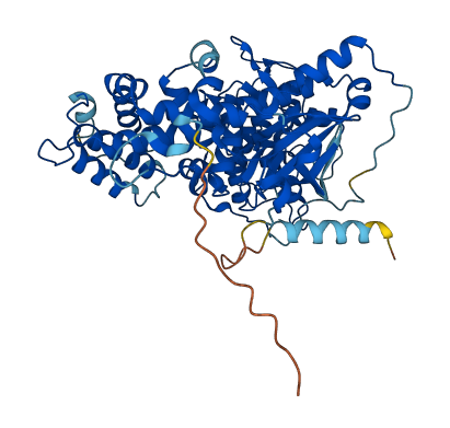 GRK1 3D structure