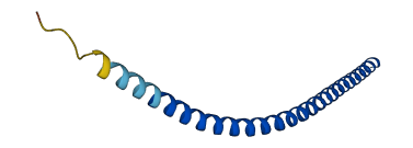 VAMP3 3D structure