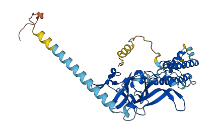 KCNJ8 3D structure