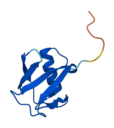 NEDD8 3D structure