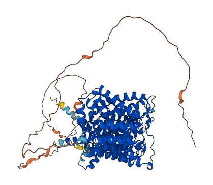 SLC14A2 3D structure