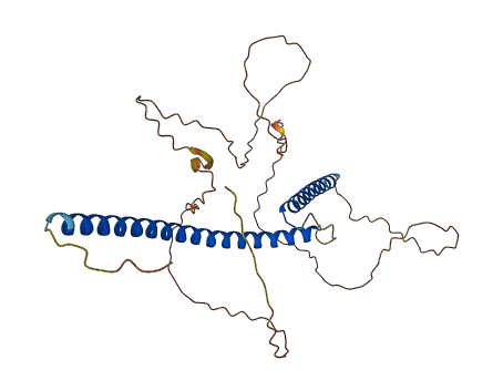 USF2 3D structure