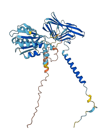 ATP6AP1 3D structure
