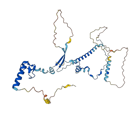 VPS72 3D structure