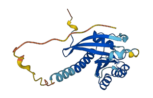 RAB11B 3D structure
