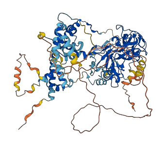 EZH2 3D structure