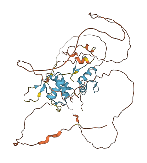 ZIC1 3D structure