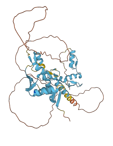 ZBTB6 3D structure