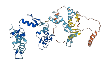 ZNF141 3D structure