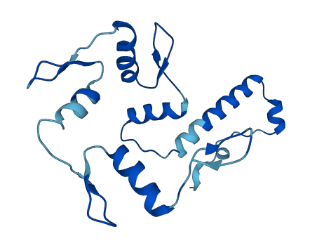 ZNF56 3D structure