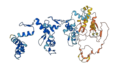ZNF77 3D structure