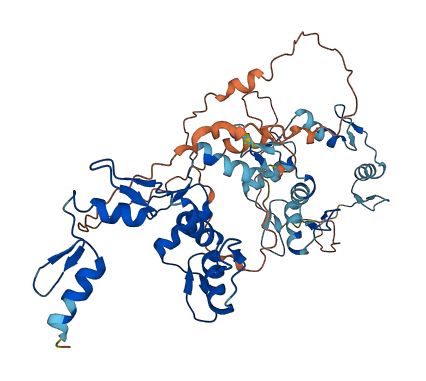 ZNF79 3D structure