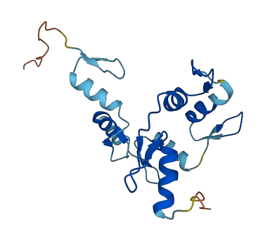 ZNF726P1 3D structure